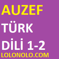 Türk Dili-2 Vize Final Bütünleme Soruları