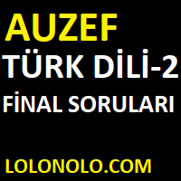 Türk Dili-2 Çıkmış Final Soruları